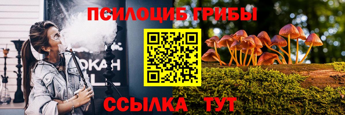 Псилоцибиновые грибы GOLDEN TEACHER Кстово